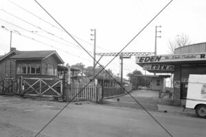 Pascoe Vale Station Looking South – Early Era Photo Print 6" x 4"