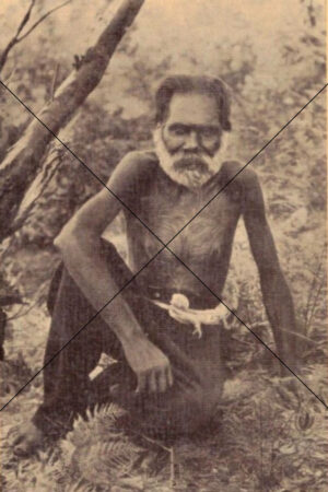 Aboriginal Elder Bush Scene Early 1900s Photo Print 6" x 4"