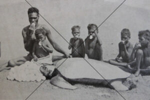 Aboriginal Family Eating Turtle Eggs 1940s Photo Print 6" x 4"
