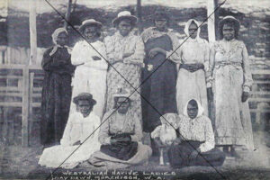 Westralian Native Ladies Day Dawn WA Photo Print 6" x 4"