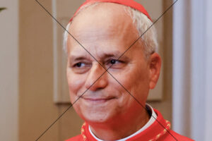 Robert Francis Prevost Before Papal Election Photo Print 6" x 4"