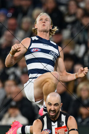 Ollie Dempsey Screamer Over Sidebottom Geelong v Collingwood 1 Photo Print 6" x 4"