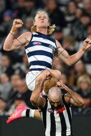 Ollie Dempsey Screamer Over Sidebottom Geelong v Collingwood 2 Photo Print 6" x 4"