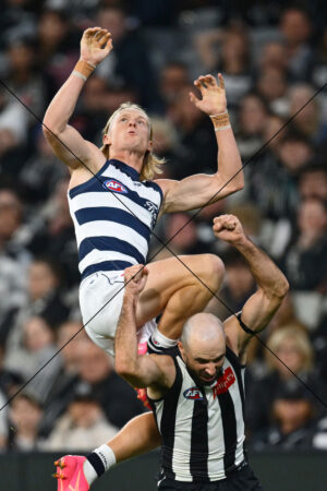 Ollie Dempsey Screamer Over Sidebottom Geelong v Collingwood 4 Photo Print 6" x 4"