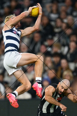 Ollie Dempsey Screamer Over Sidebottom Geelong v Collingwood 6 Photo Print 6" x 4"