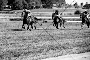 Race Finish Line - Picnic Races Orange 2010 - 6" x 4" Photo Print