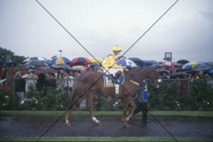 Vintage Crop and Jockey Michael Kinane 1993 6" x 4" Photo Print