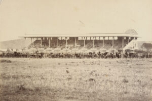 Grandstand and Carriages at Rosehill Racecourse – Early View 6" x 4" Photo Print
