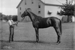 Pulvil at Newmarket Stables 6" x 4" Photo Print