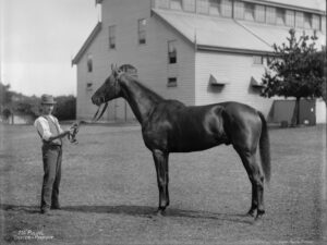 Pulvil at Newmarket Stables 6" x 8" Photo Print