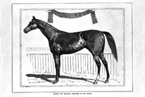 Trident, the champion racehorse of the season 1887 6" x 4" Photo Print