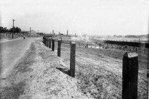 Victoria Park Racecourse, Zetland 1930's 6" x 4" Photo Print
