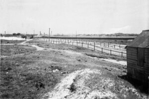 Victoria Park Racecourse View With Fences 6" x 4" Photo Print