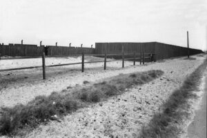 Victoria Park Track Rear Fence View 1930s 6" x 4" Photo Print
