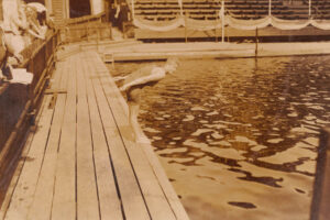 Mina Wylie Poised to Dive into Pool 6" x 4" Photo Print