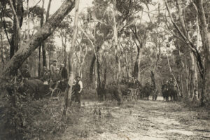 Governor Carmichael's Party with Horse-Drawn Carriages 6" x 4" Photo Print