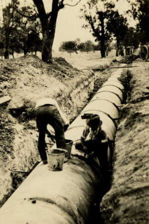Loading Export Fruit at Stawell Railway Station 6" x 4" Photo Print