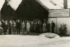 Stawell from Big Hill, Gold Mining Landscape 6" x 4" Photo Print