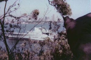 HMAS Exhms Duchess 6" x 4" Photo Print