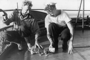 HMAS Gascoyne 6" x 4" Photo Print