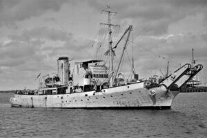 Kangaroo 6" x 4" Photo Print