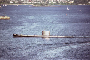 Oberon Incognito 6" x 4" Photo Print