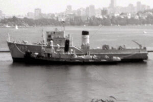 Teal And Bronzewing 6" x 4" Photo Print