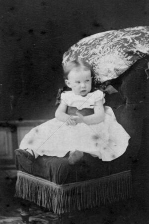 Alfred Daintree 1860–1941 6" x 4" Photo Print