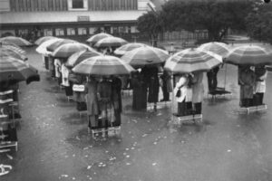 Bookmakers Marooned In The Ring At Albion Park Brisbane 1941 6" x 4" Photo Print
