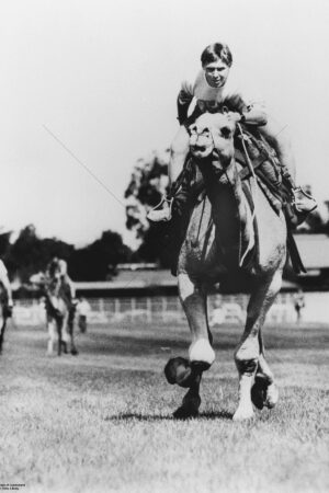 Camel Racing At Eagle Farm Racecourse Ascot Brisbane 6" x 4" Photo Print