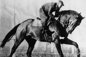 Champion Racehorse Bernborough Ridden By Billy Nielsen 6" x 4" Photo Print