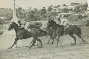 Horseracing At Brisbane 6" x 4" Photo Print