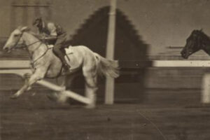 Prince Of Wales On A Race Horse At Ascot Brisbane 6" x 4" Photo Print