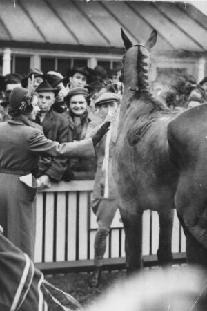 Queen Elizabeth II Patting A Racehorse Brisbane 1954 6" x 4" Photo Print