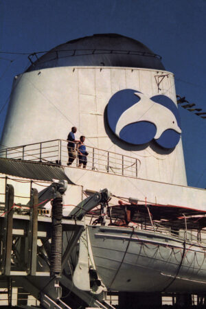 Fairstar Last Trip Australia Cruise Ship 6" x 4" Photo Print