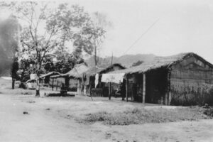 Daintree River Mission Station Ca 1938 6" x 4" Photo Print