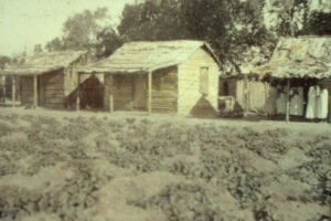 Early Housing At Wayarego Cape Bedford Aboriginal Reserve Ca 1890 6" x 4" Photo Print