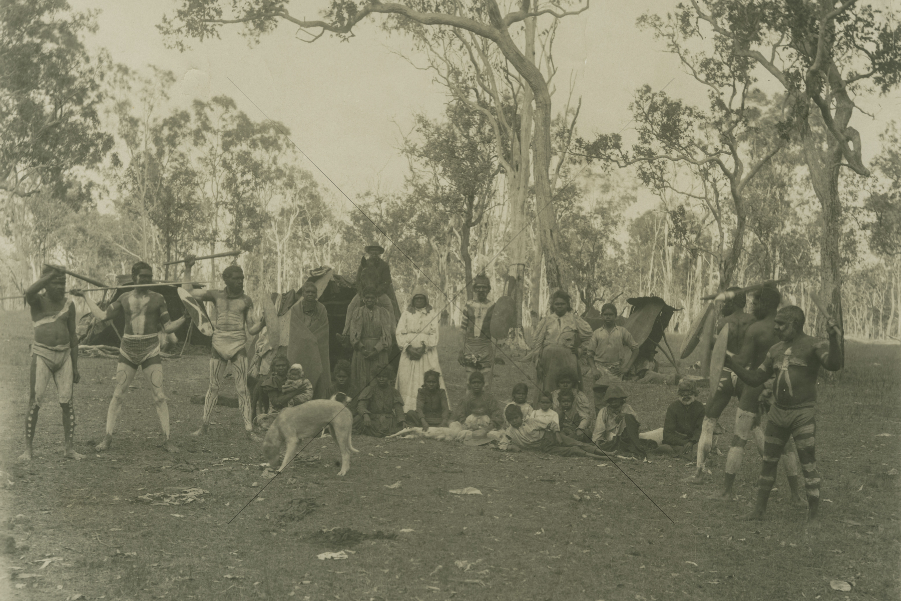 Large Group Of People Posing For A Photo At A Bush Camp Ipswich District Queensland Ca 1905 6" x 4" Photo Print