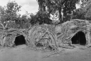 Shelters At Mitchell River Mission Station 1937 6" x 4" Photo Print
