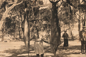 Zane Grey With Striped Marlin Bermagui New South Wales Austr 6" x 4" Photo Print