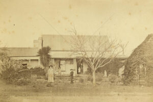 Gardening At The Front Of Aloe Villa Toowoomba  6" x 4" Photo Print