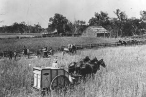Harvesting At Hogans Farm Mitchell District 6" x 4" Photo Print