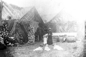 Shade House At Toowoomba Residence Roslyn 6" x 4" Photo Print