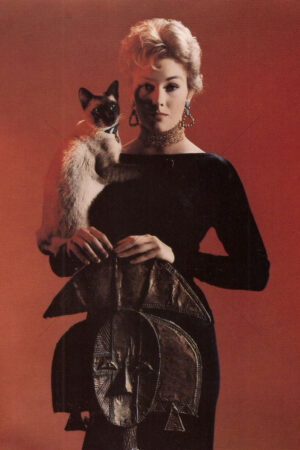 Kim Novak Bell Book And Candle 6" x 4" Photo Print