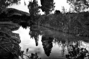 The World In Black And White 6" x 4" Photo Print