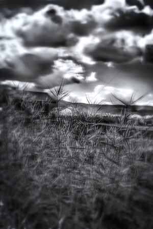 The World In Black And White 6" x 4" Photo Print