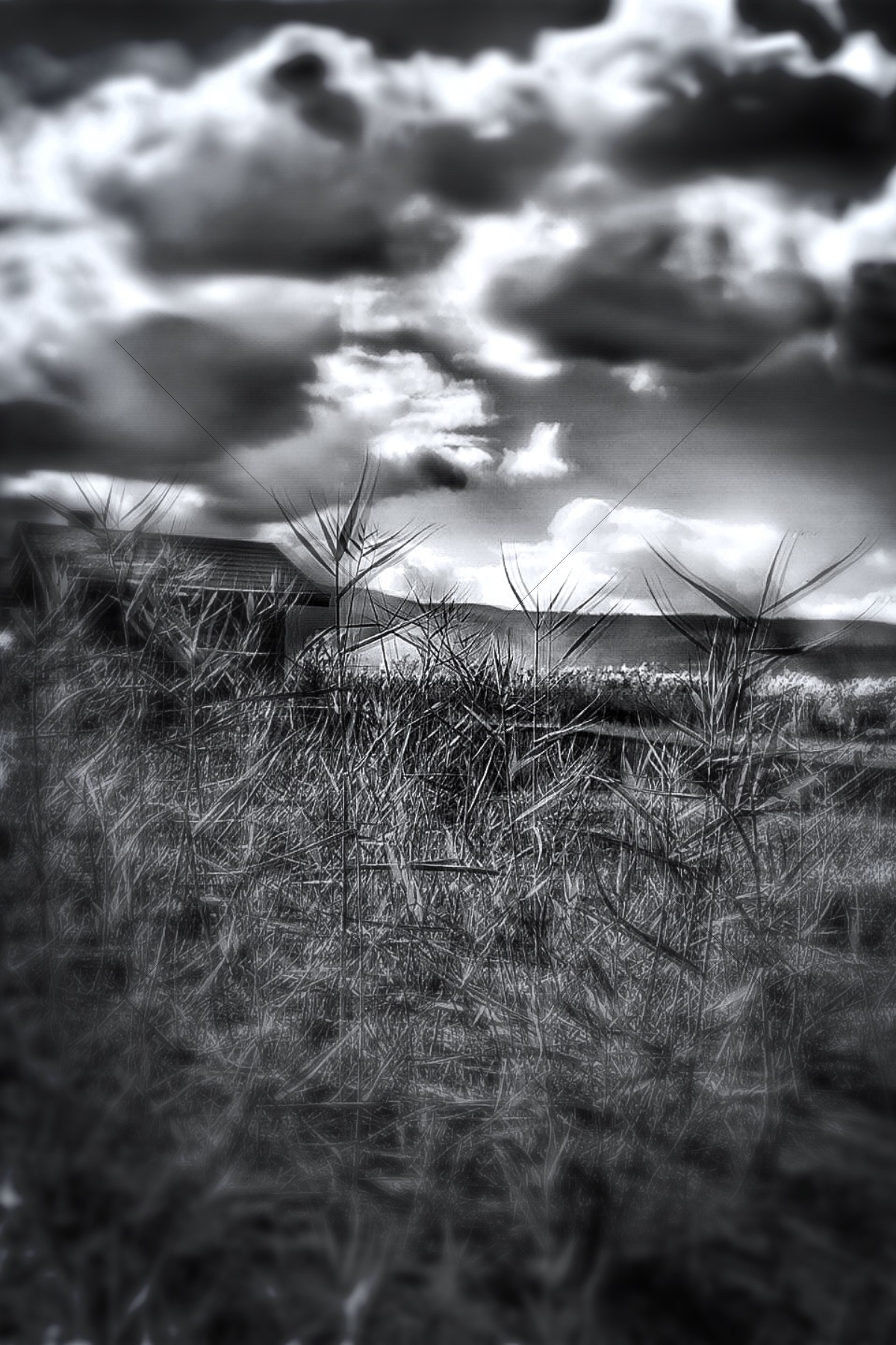 The World In Black And White 6" x 4" Photo Print