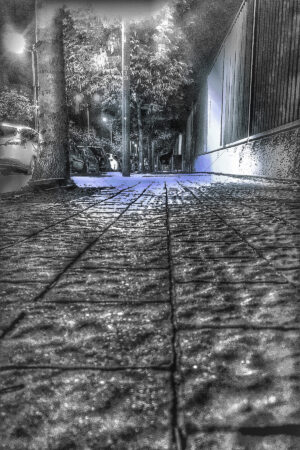 The World In Black And White 6" x 4" Photo Print