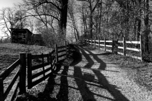 The World In Black And White 6" x 4" Photo Print