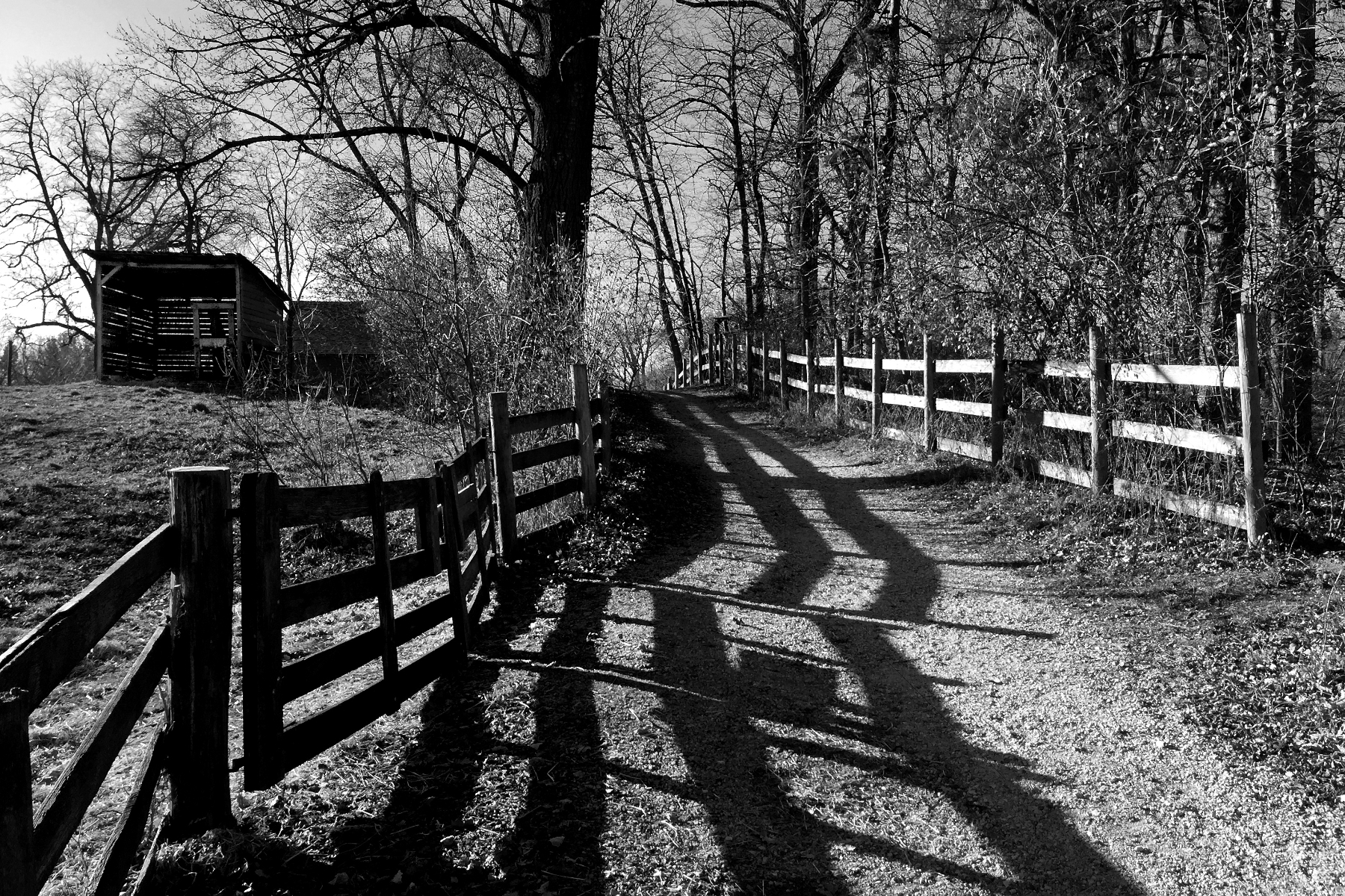 The World In Black And White 6" x 4" Photo Print